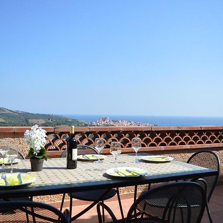 Villa Superbe Vue Sur Mer Et Sur La Montagne Jardin Terrasses Banyuls-sur-Mer Esterno foto
