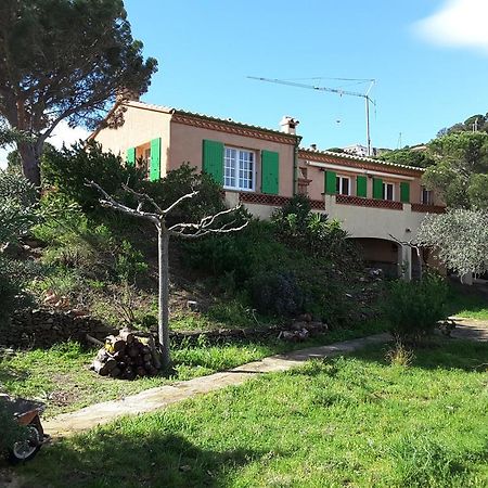 Villa Superbe Vue Sur Mer Et Sur La Montagne Jardin Terrasses Banyuls-sur-Mer Esterno foto