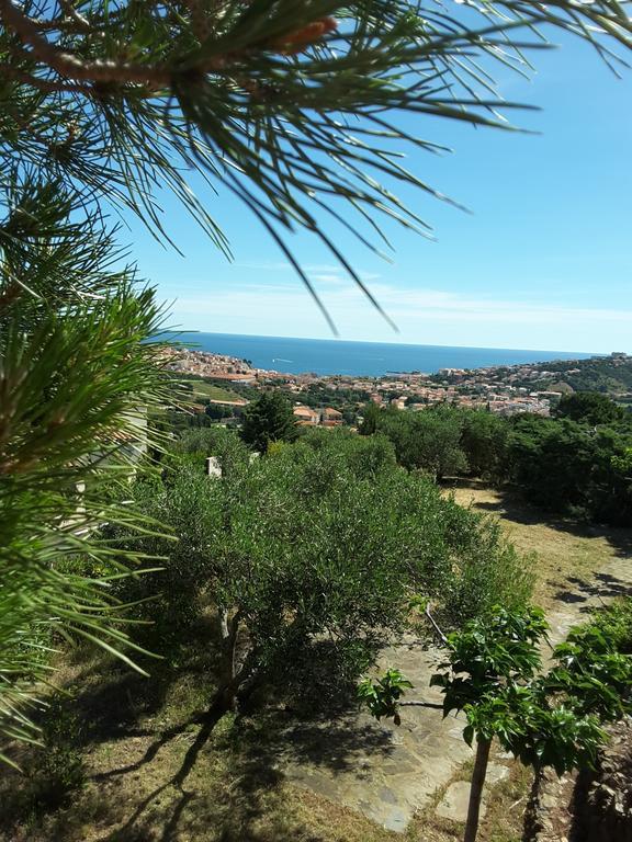 Villa Superbe Vue Sur Mer Et Sur La Montagne Jardin Terrasses Banyuls-sur-Mer Esterno foto