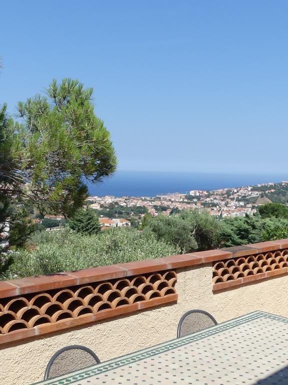 Villa Superbe Vue Sur Mer Et Sur La Montagne Jardin Terrasses Banyuls-sur-Mer Esterno foto