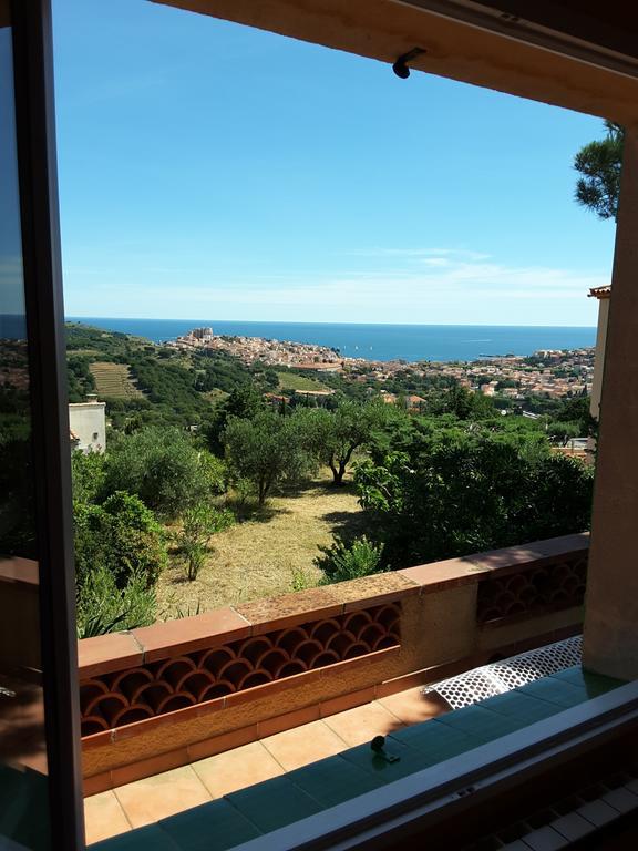 Villa Superbe Vue Sur Mer Et Sur La Montagne Jardin Terrasses Banyuls-sur-Mer Esterno foto